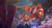 Nemo